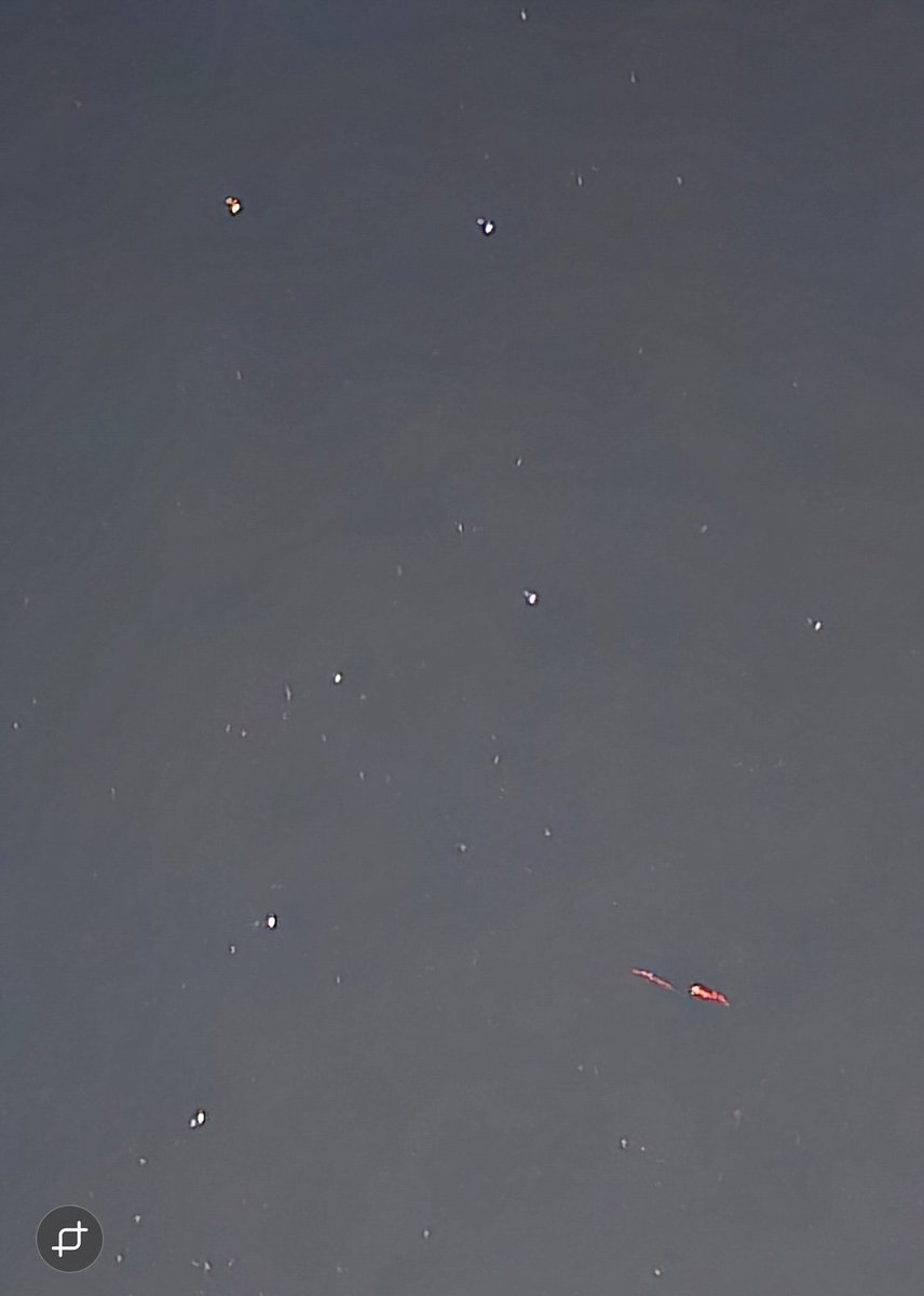 SteezeMcQueen tweet media