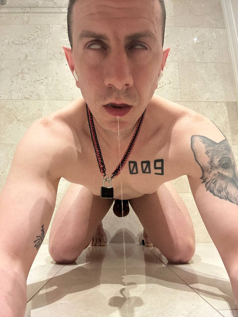 YourNewHandler tweet media