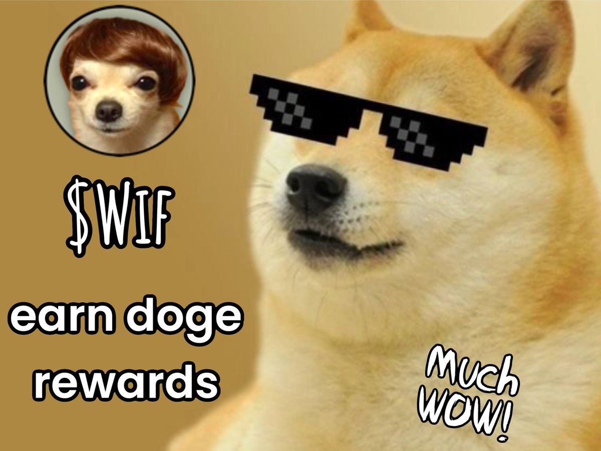 dogwifhair tweet media