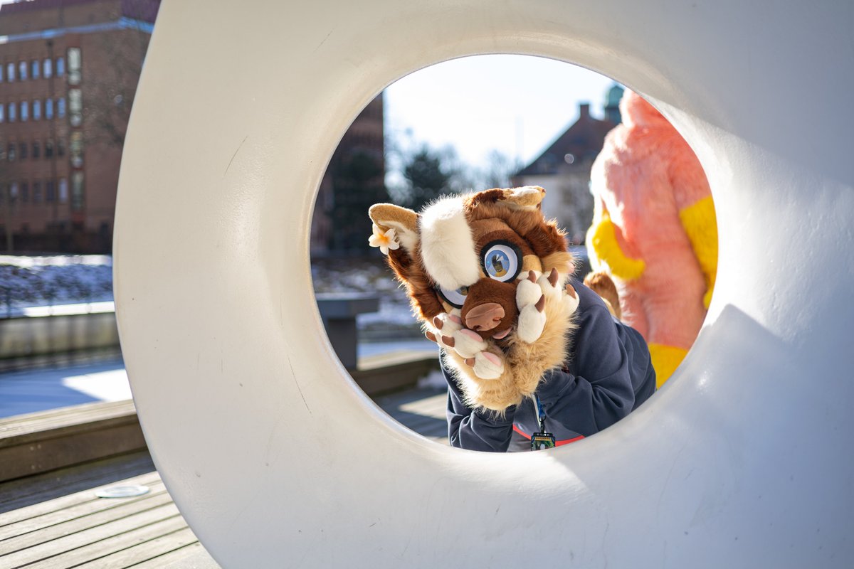 KeksiDragon tweet media