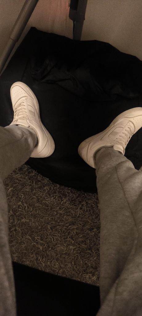 Alfa Seba Master tweet media