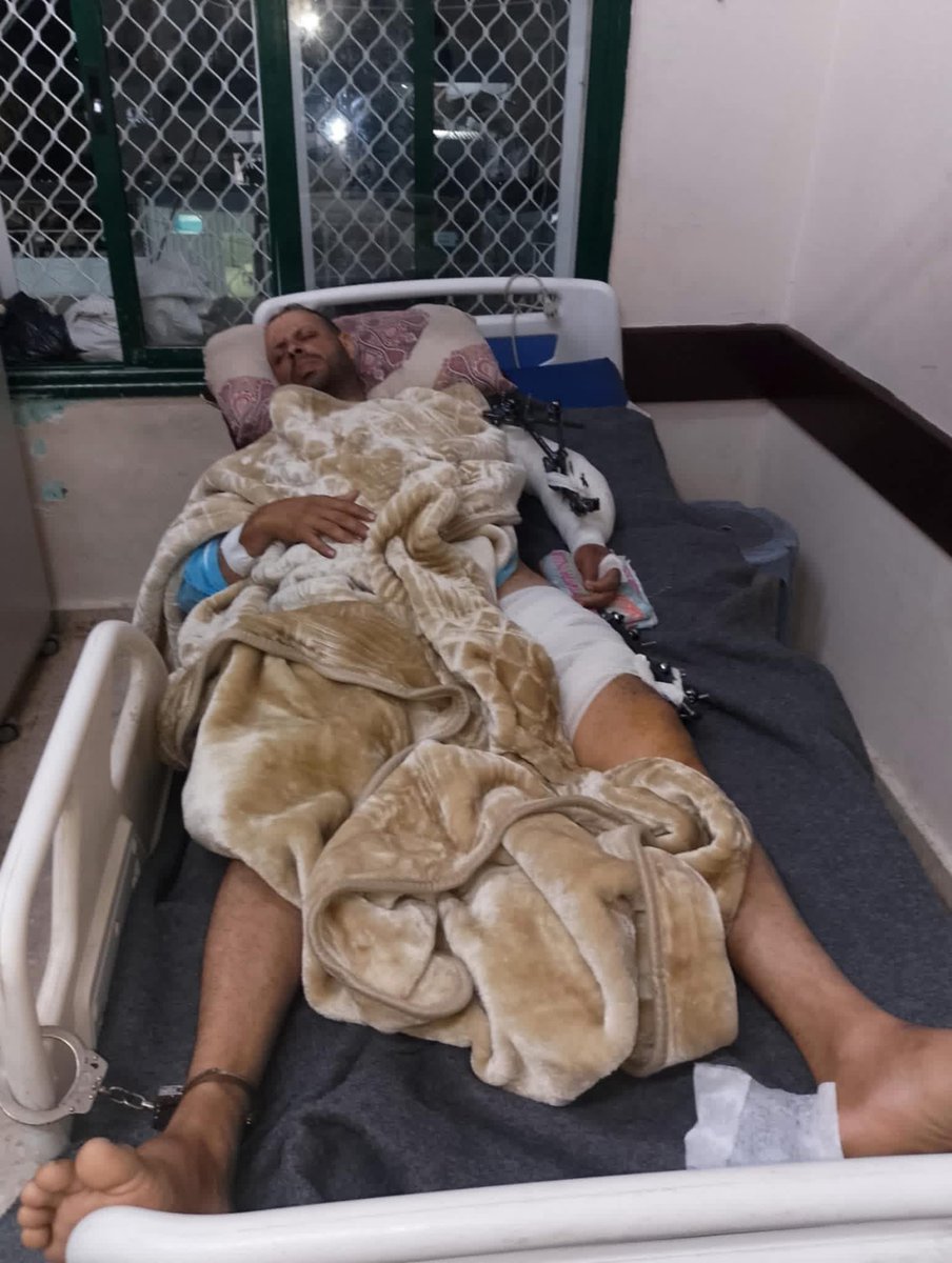 Bassem Eid tweet media