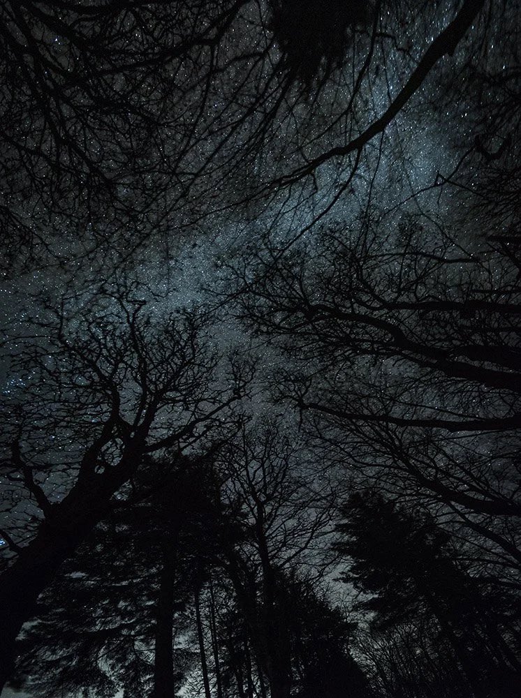 Andrew Brooks tweet media