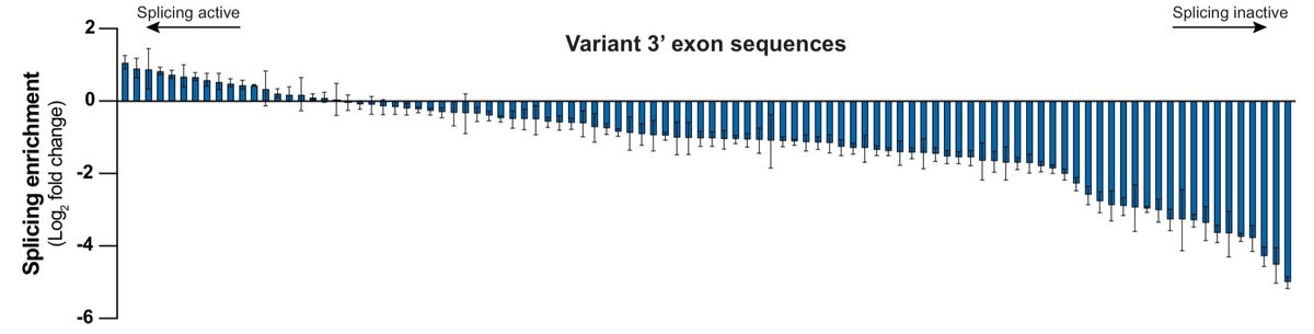 Sternberg Lab tweet media