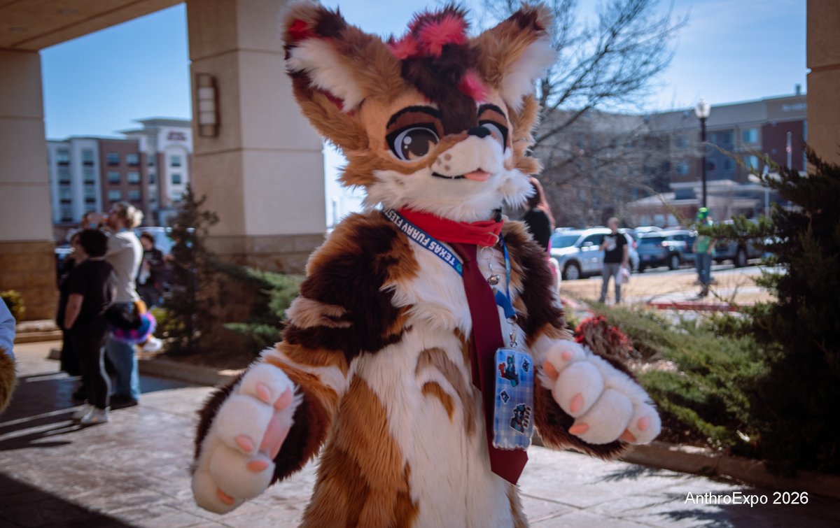 Storm Wusky ✨🔜 TFF tweet media