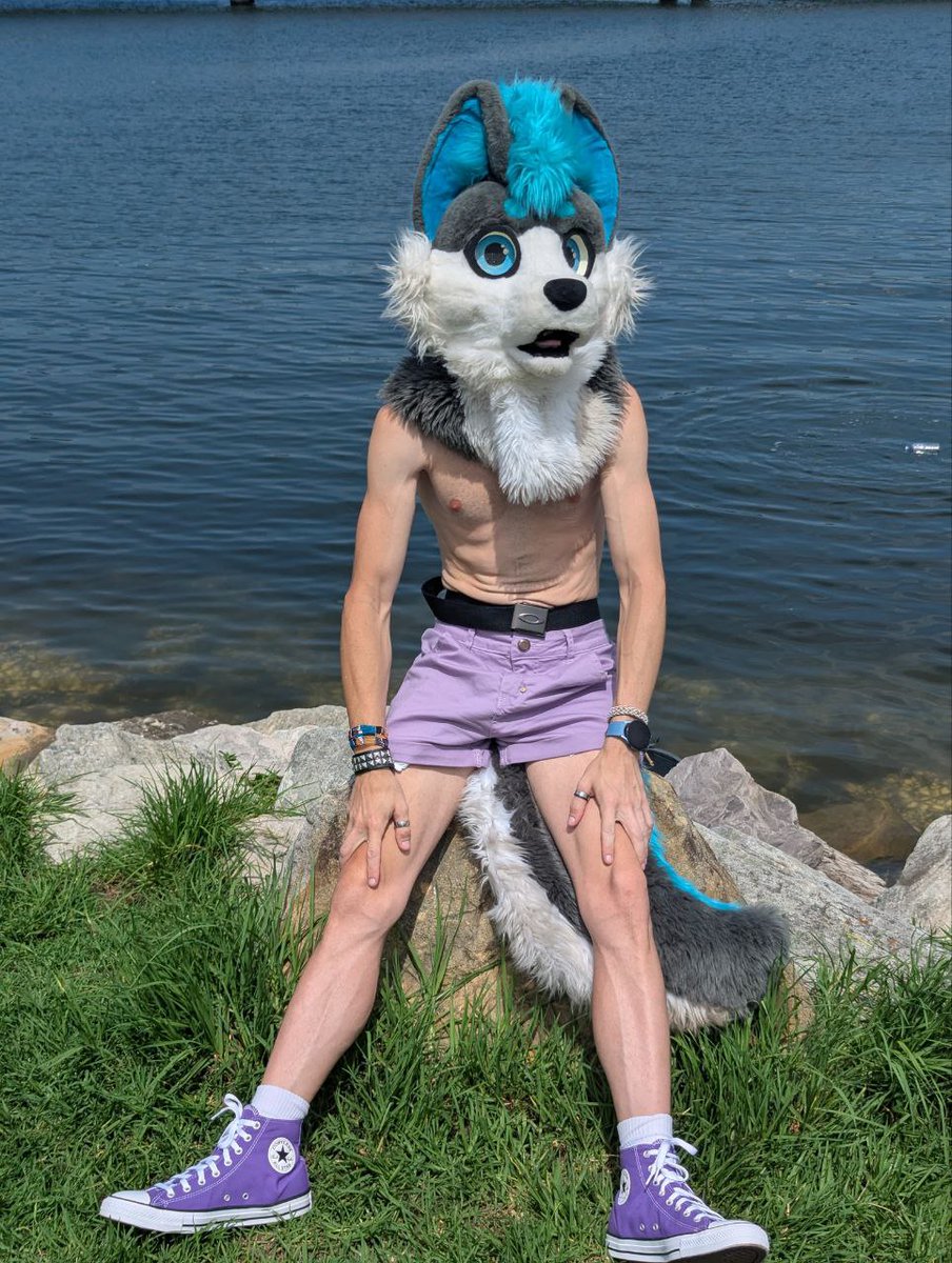 DaWusky's tweet photo. Rocking it Shirtless

#FursuitFriday https://t.co/qXtUSloNcZ