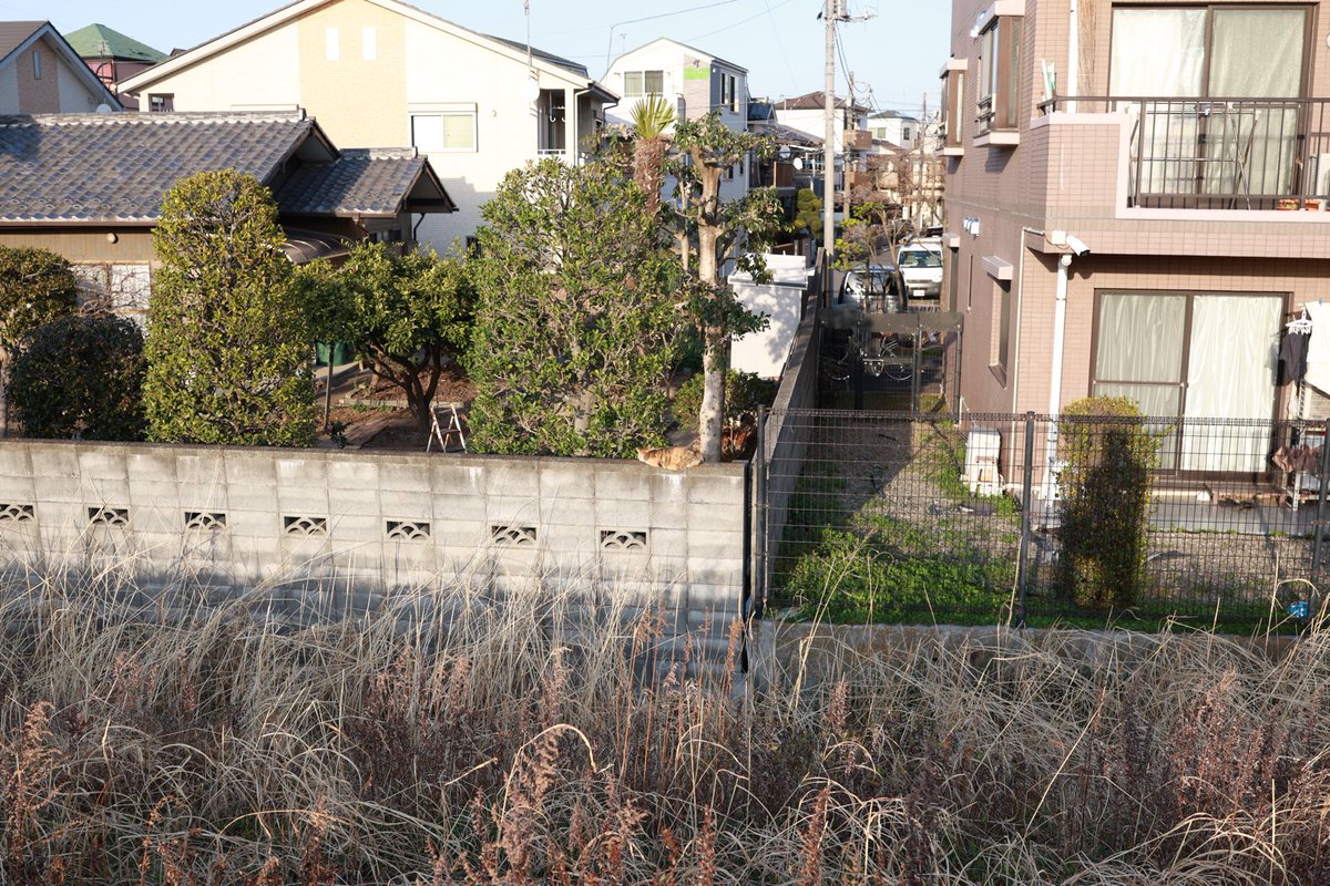 roppe (@enbundaisukii) on Twitter photo 