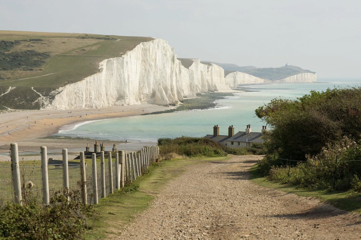 Sharestep tweet media