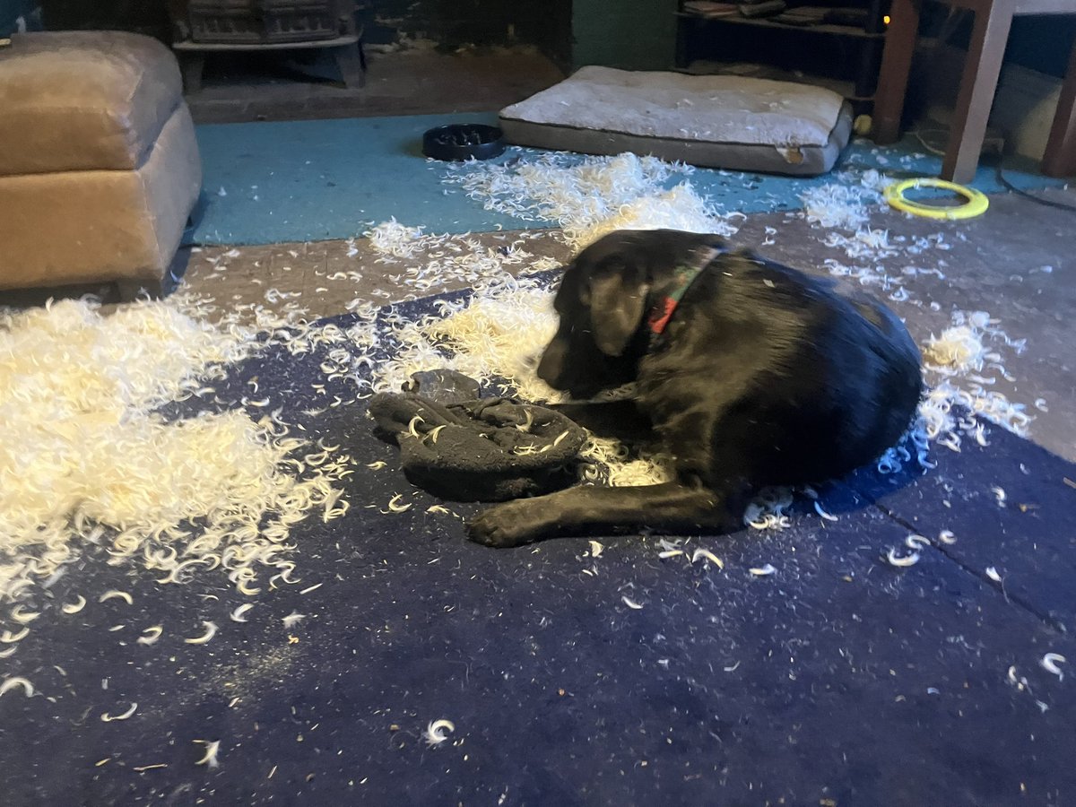 Geoff Pickering tweet media