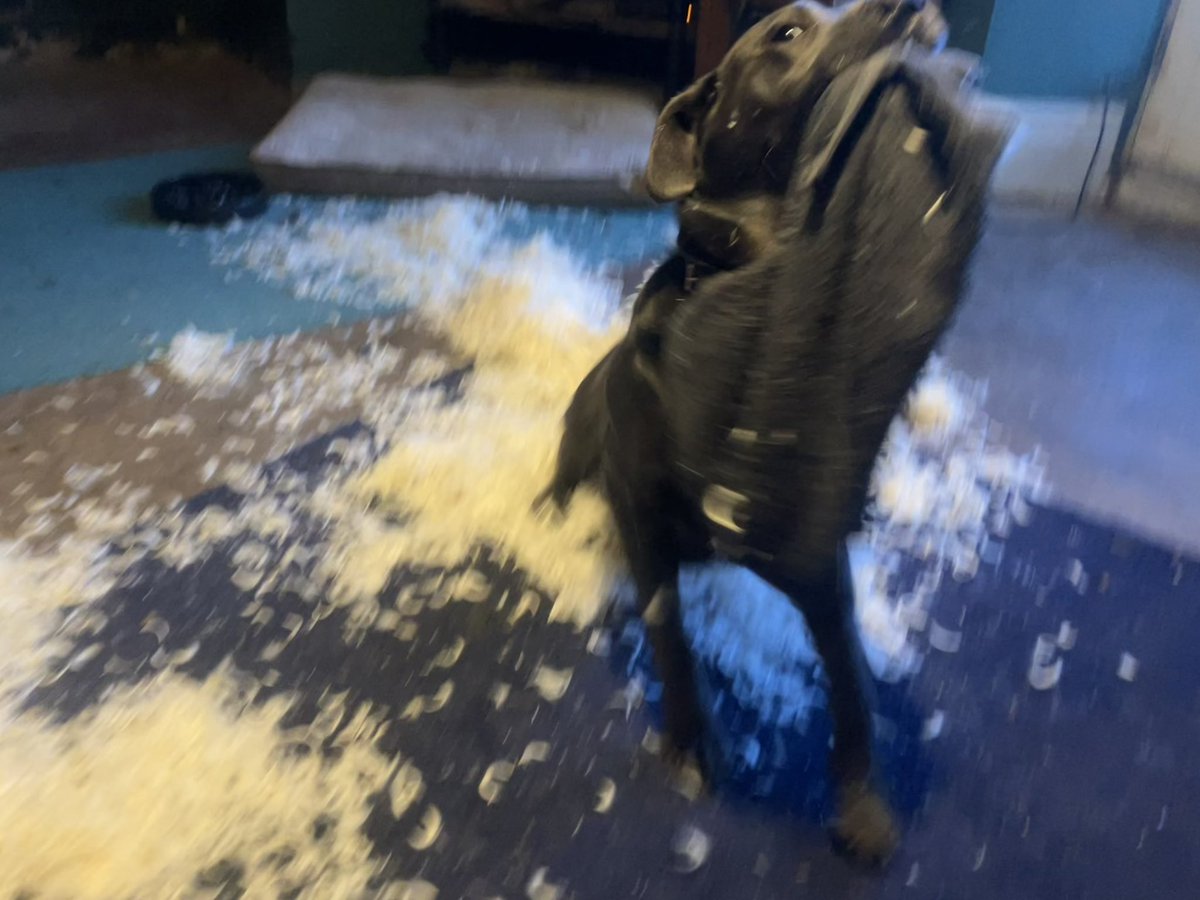 Geoff Pickering tweet media