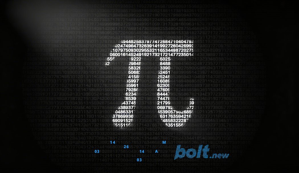 bolt.new tweet media