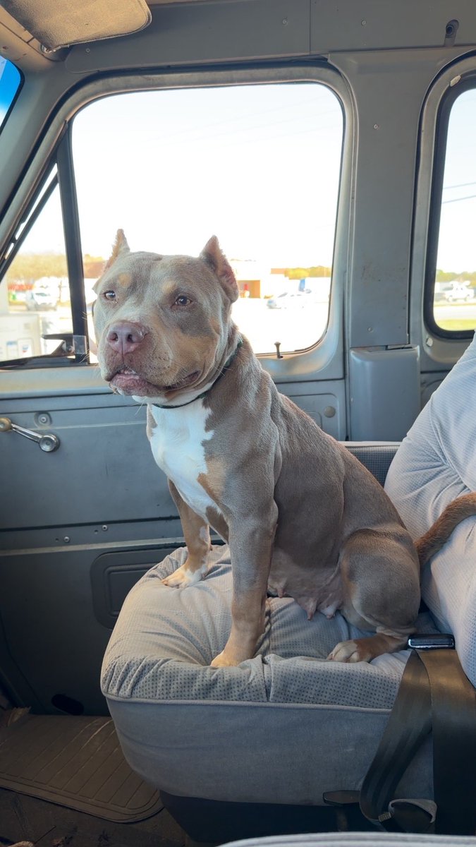 One of my favorite fosters so far