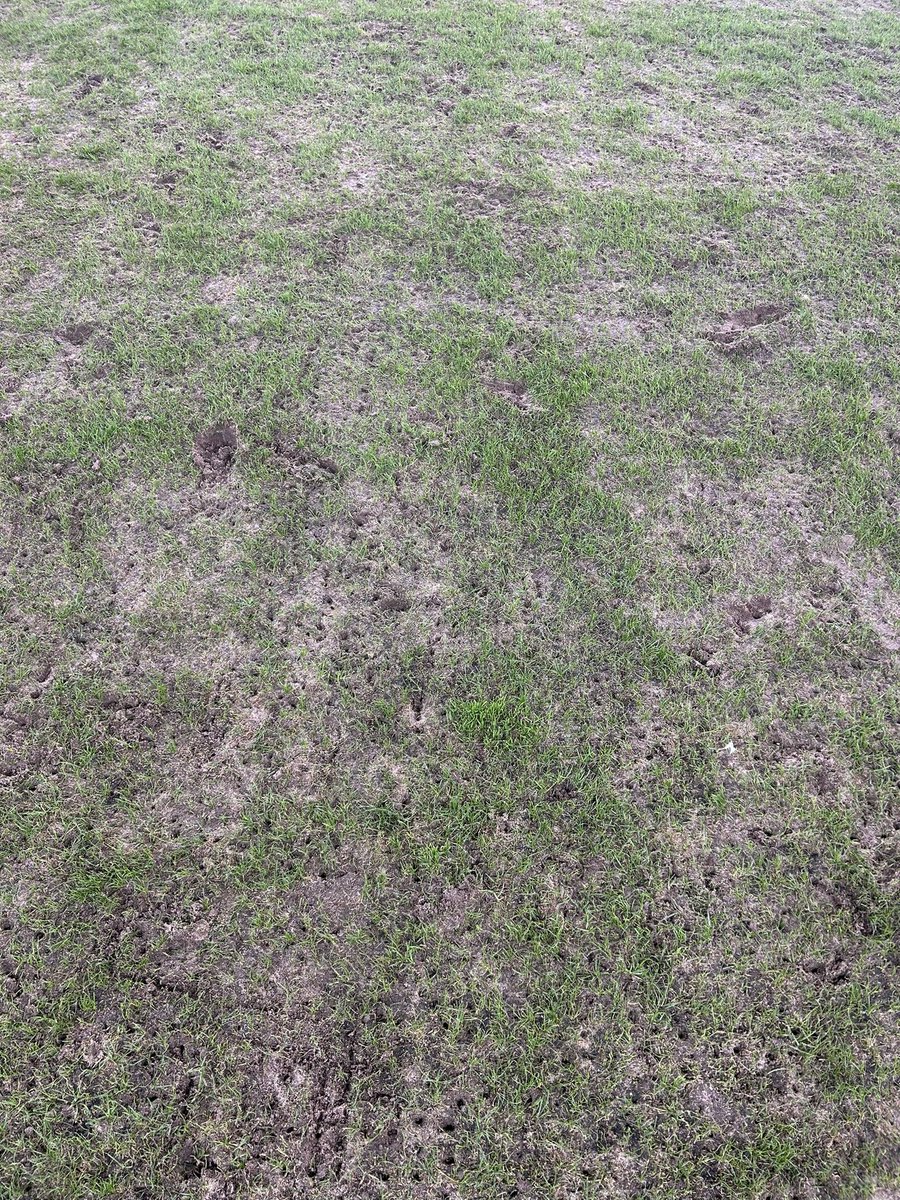 Błażej Łukaszewski tweet media