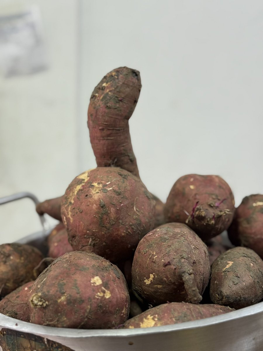 SALOMON BUSTAMANTE tweet media