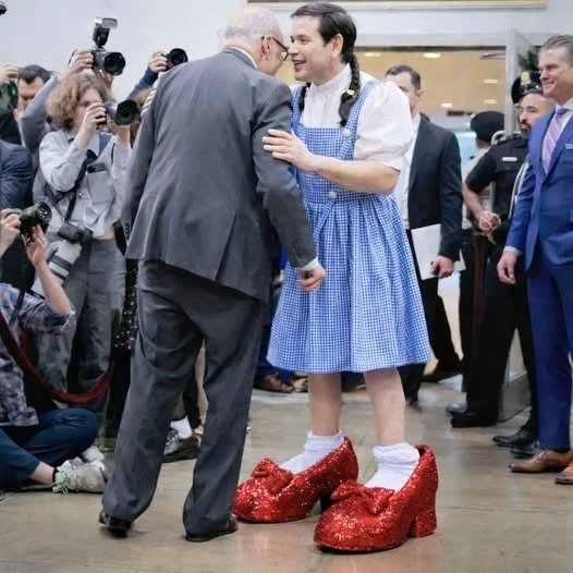 WINNER 🏆🏆🤣🤣💀💀