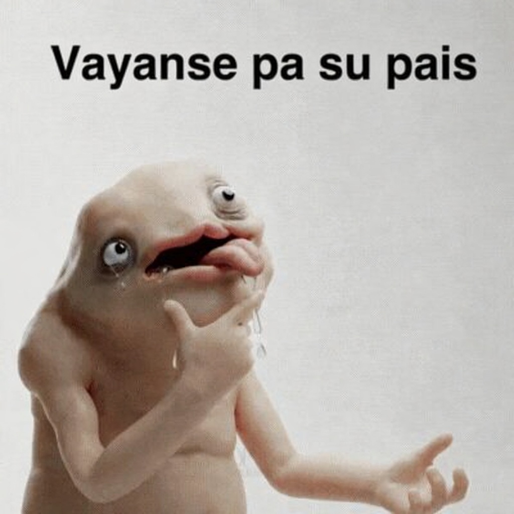 gabo.sats ᛤ🧪 🟧 tweet media