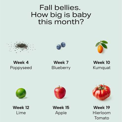 eden guinevere tweet media