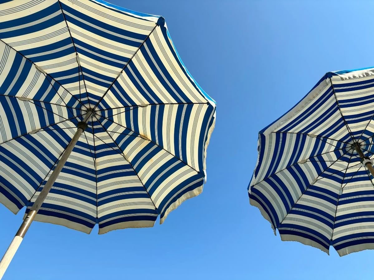 p˚୨୧⋆。🐈˚ ⋆ tweet media