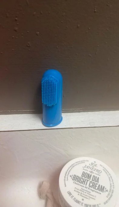 إياد tweet media