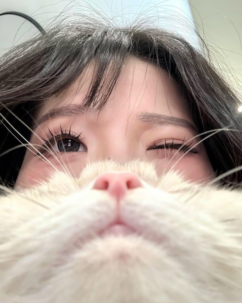 Out Of Context Japan (@japanofcontext) on Twitter photo 