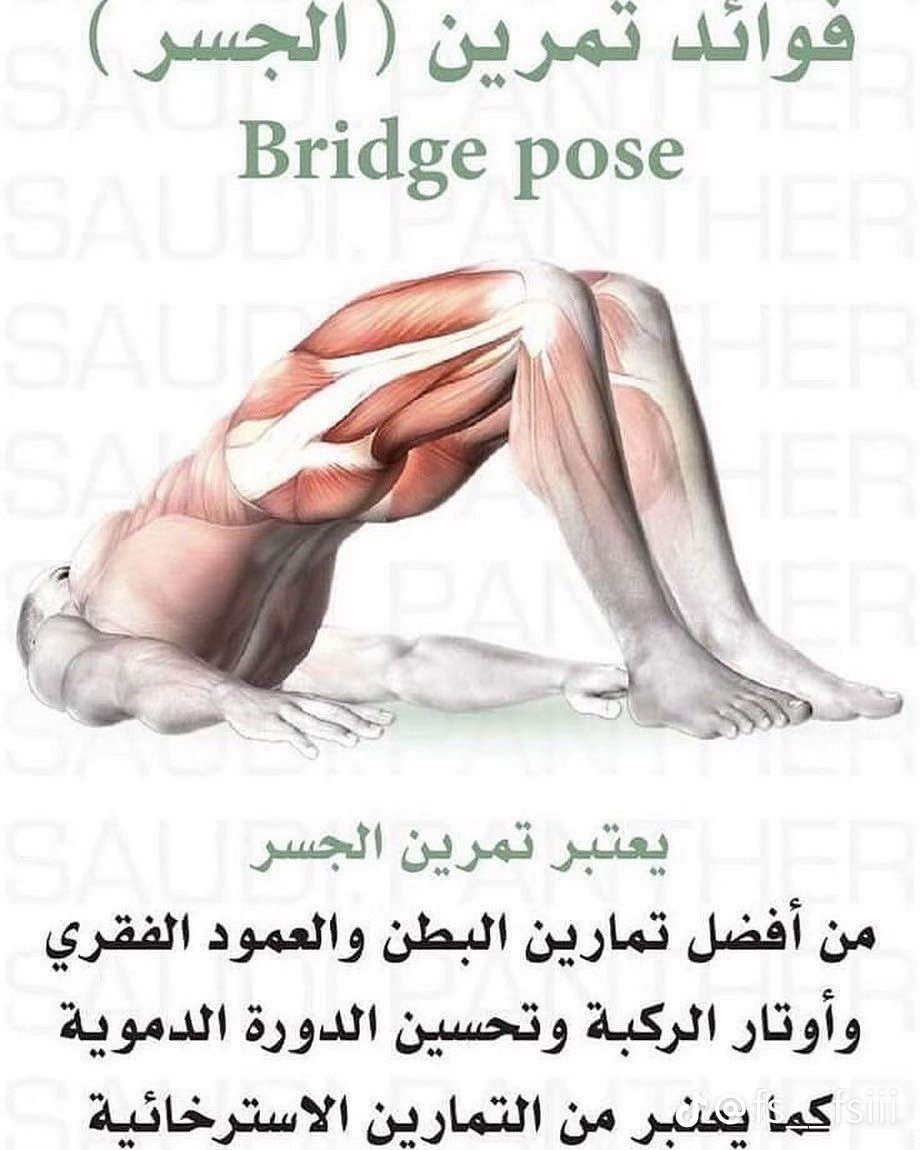 jbramer170's tweet photo. افضل 4 تمارين اطالات لاراحة الجسم https://t.co/ovflKKS6C1