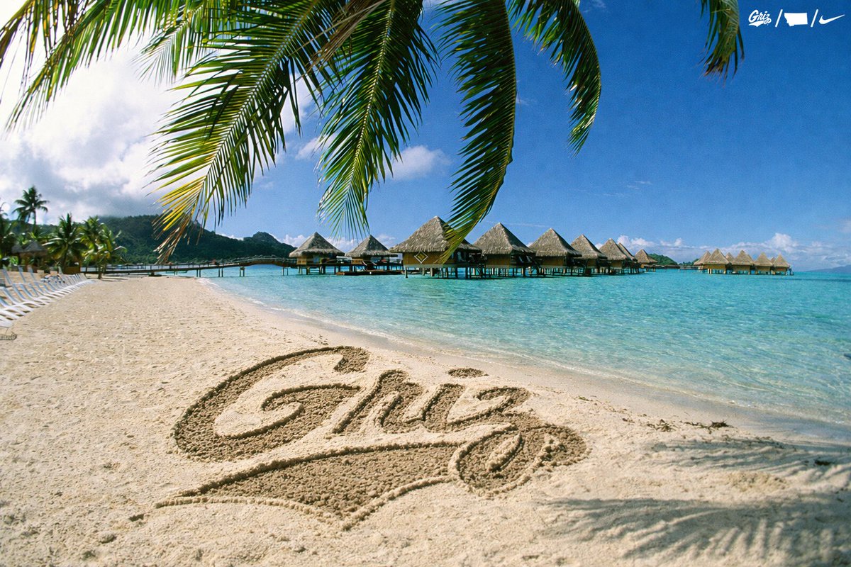 Montana Griz Football tweet media