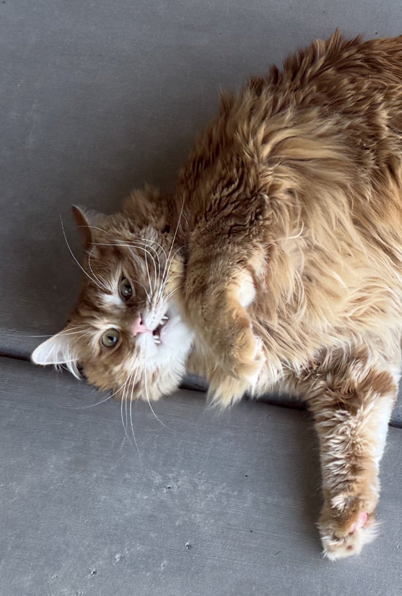 Andrew McCarthy tweet media