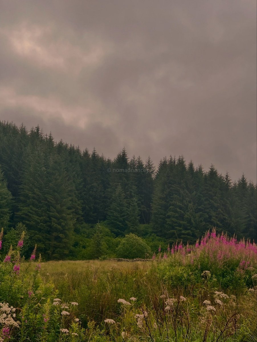 Cloudy with a chance of rain