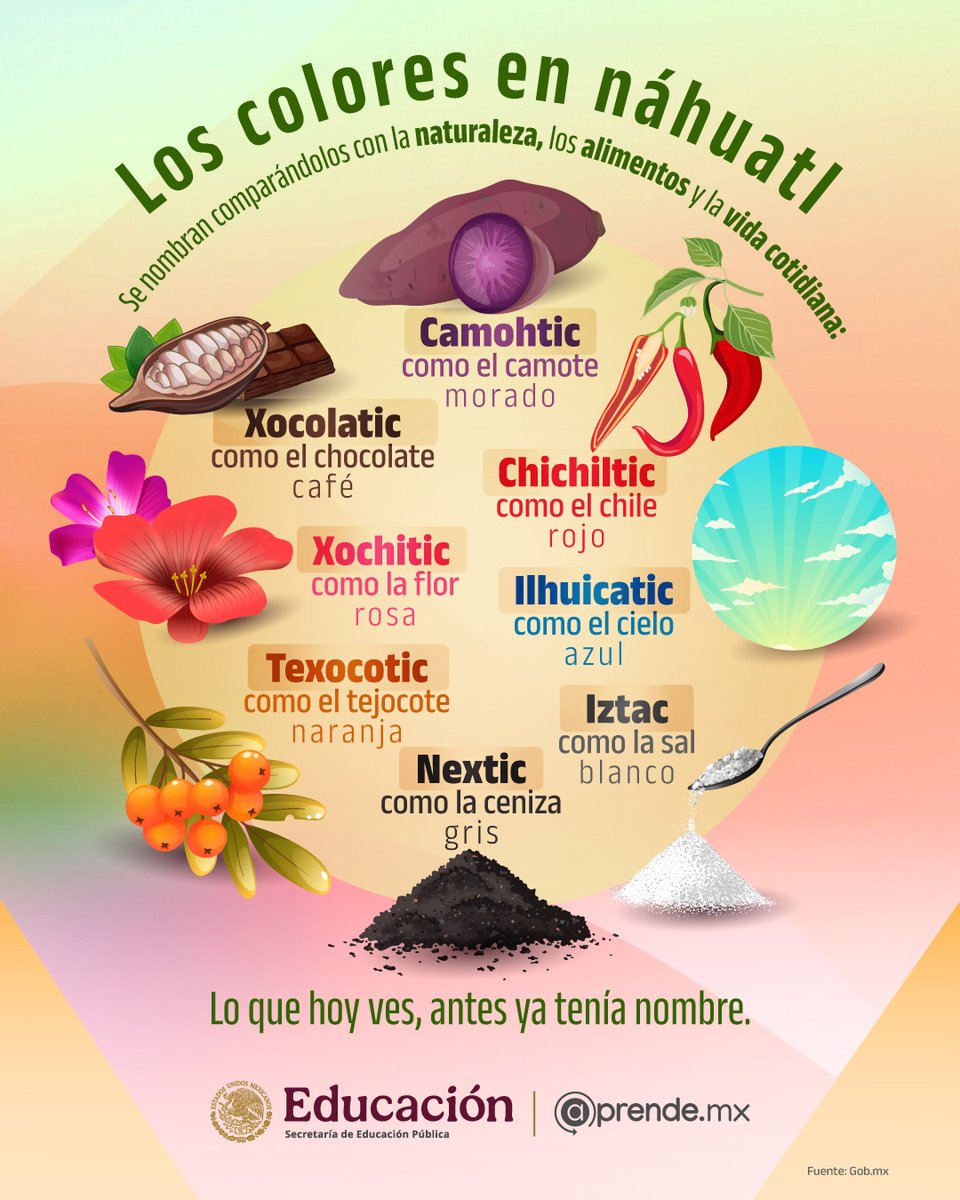 SEP Hidalgo tweet media