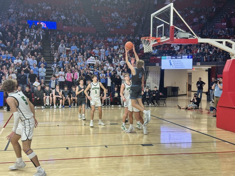 𝐅𝐫𝐞𝐞𝐦𝐚𝐧 𝐅𝐚𝐥𝐜𝐨𝐧𝐬 tweet media