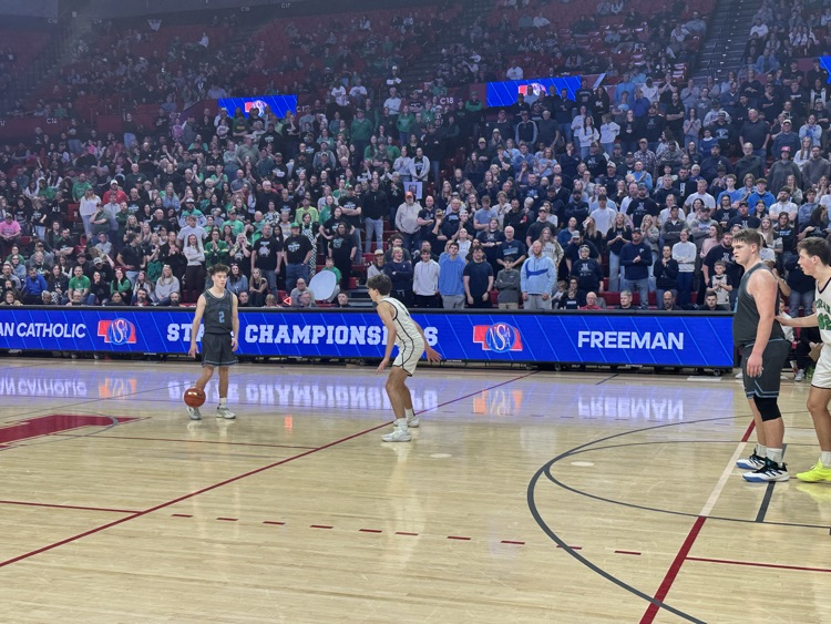 𝐅𝐫𝐞𝐞𝐦𝐚𝐧 𝐅𝐚𝐥𝐜𝐨𝐧𝐬 tweet media