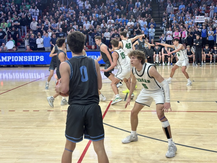 𝐅𝐫𝐞𝐞𝐦𝐚𝐧 𝐅𝐚𝐥𝐜𝐨𝐧𝐬 tweet media