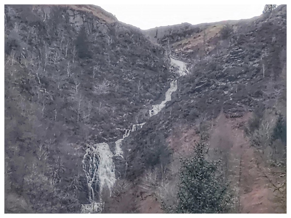 Martin Whittaker tweet media