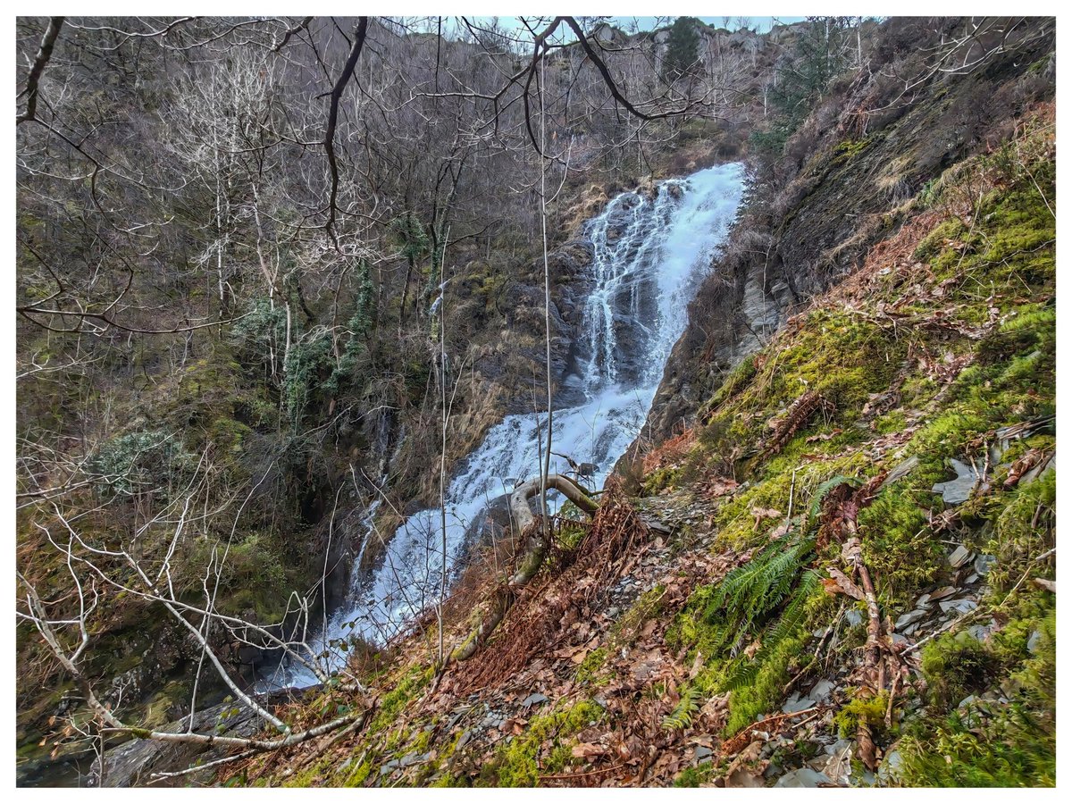 Martin Whittaker tweet media