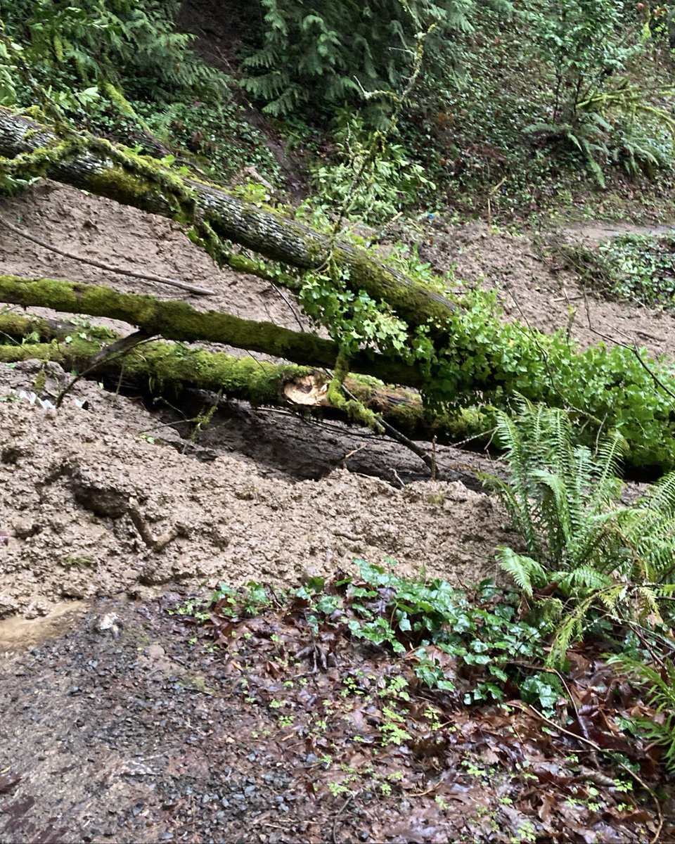 Portland Parks & Rec tweet media