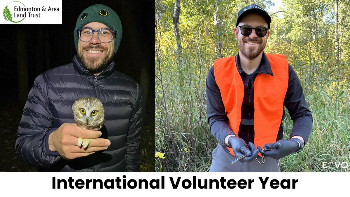 Edmonton Chamber of Voluntary Organizations tweet media