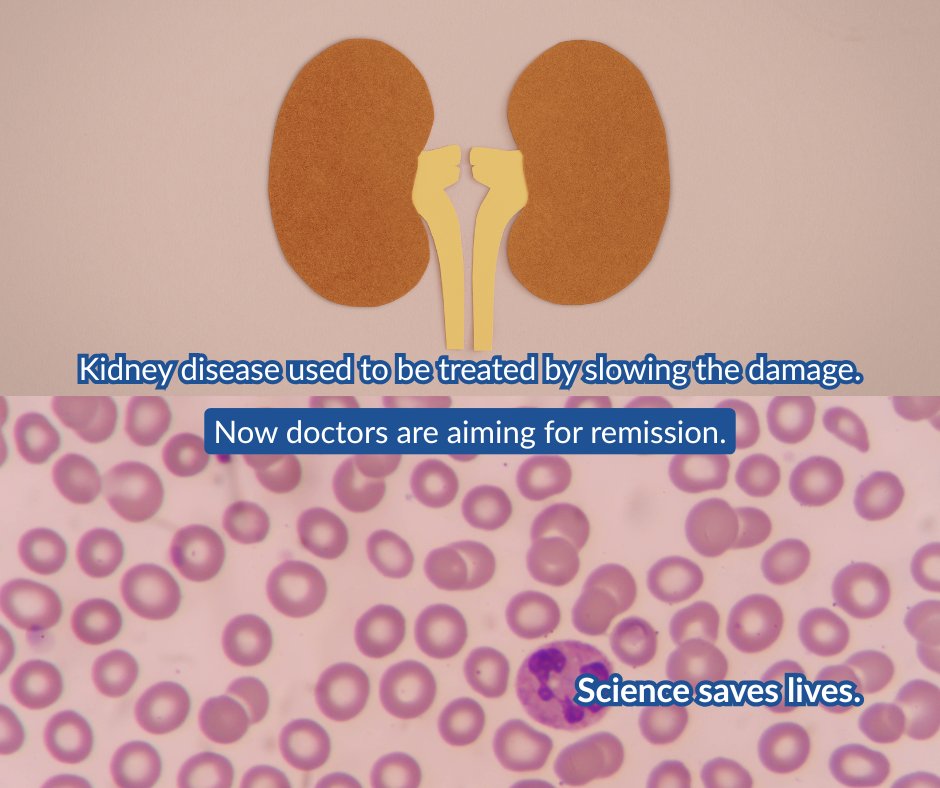 ScienceSaves tweet media