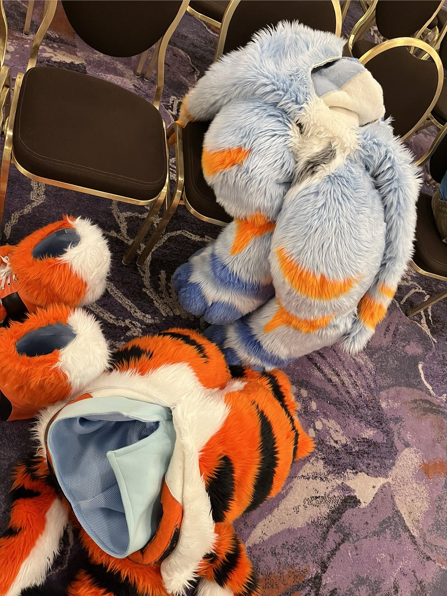 🐯Flāmie Tiger🐯/ TransformTiger tweet media