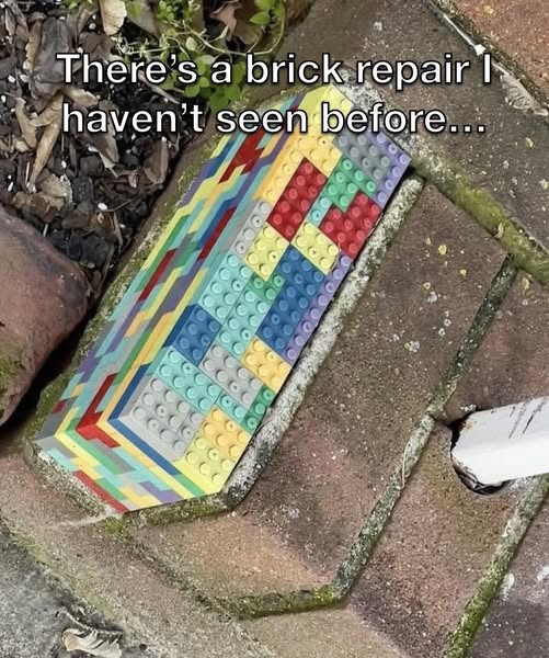 BlackHatNanny tweet media