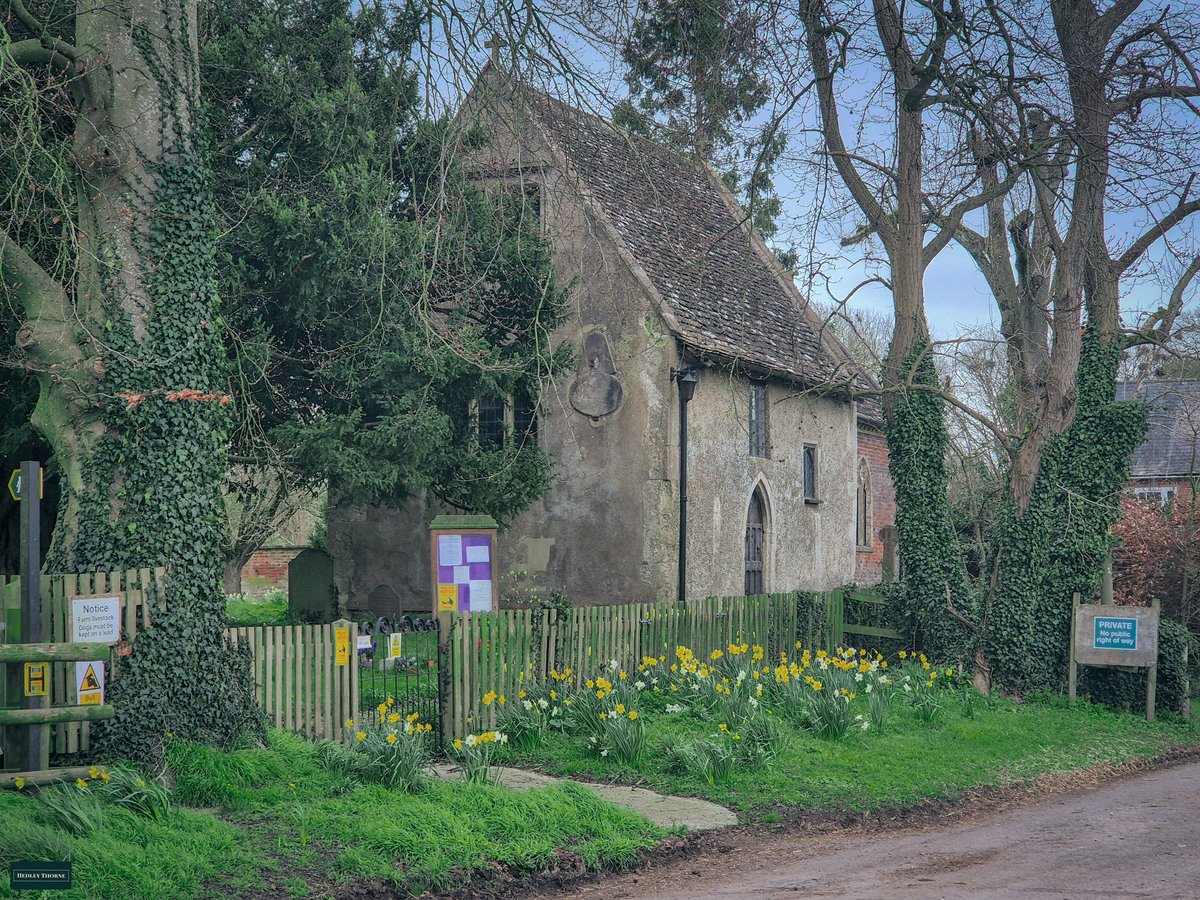 𝙃𝙚𝙙𝙡𝙚𝙮 𝙏𝙝𝙤𝙧𝙣𝙚 tweet media