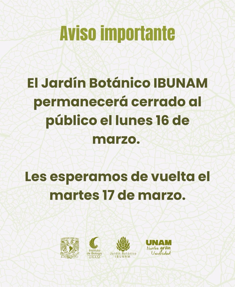 JardínBotánicoIBUNAM tweet media