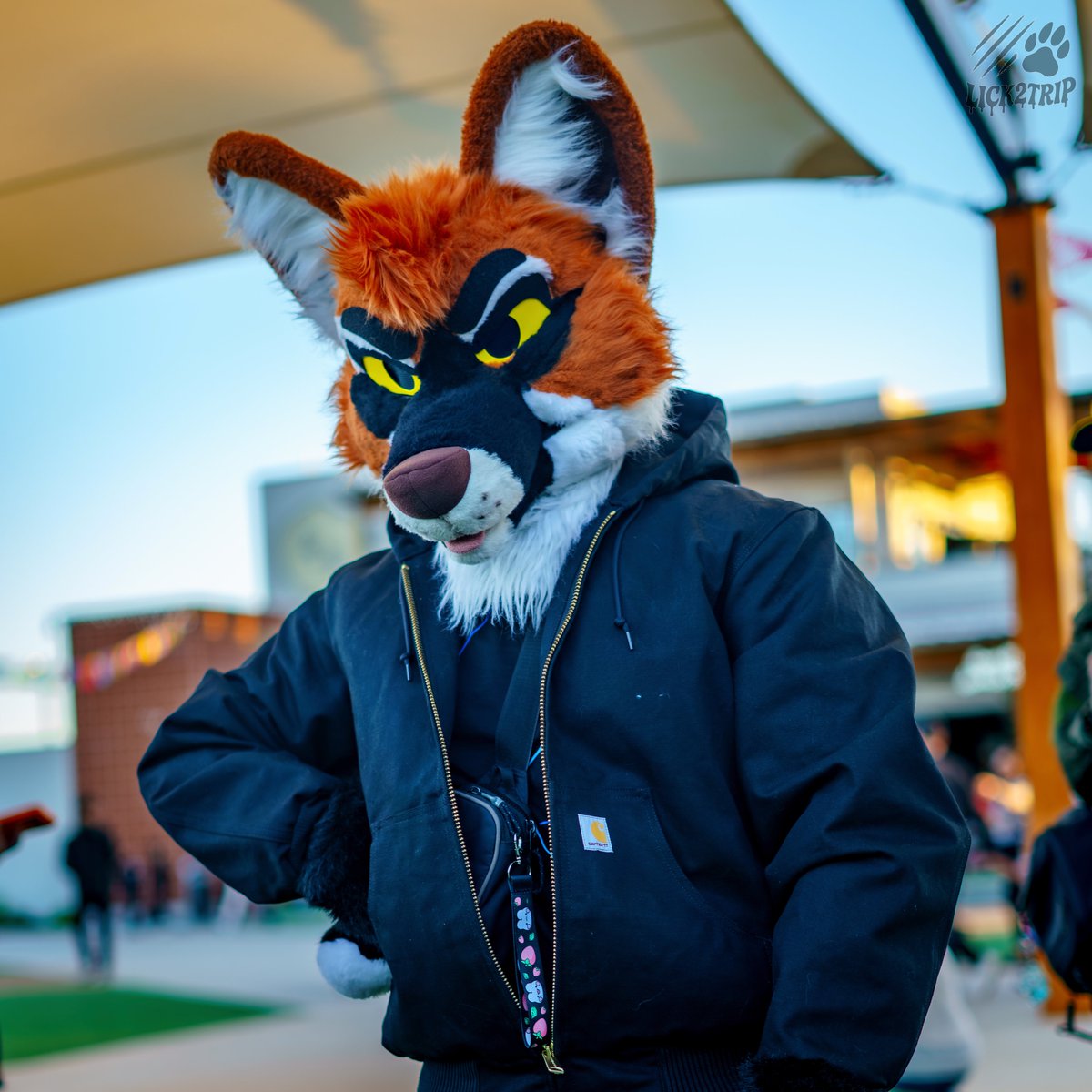 ESTRELLA POR ESTRELLA tweet media