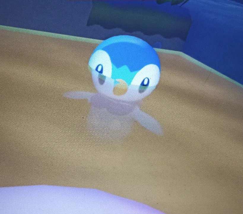 on est sur le jeu du siècle (tiplouf dans sa chiasse)