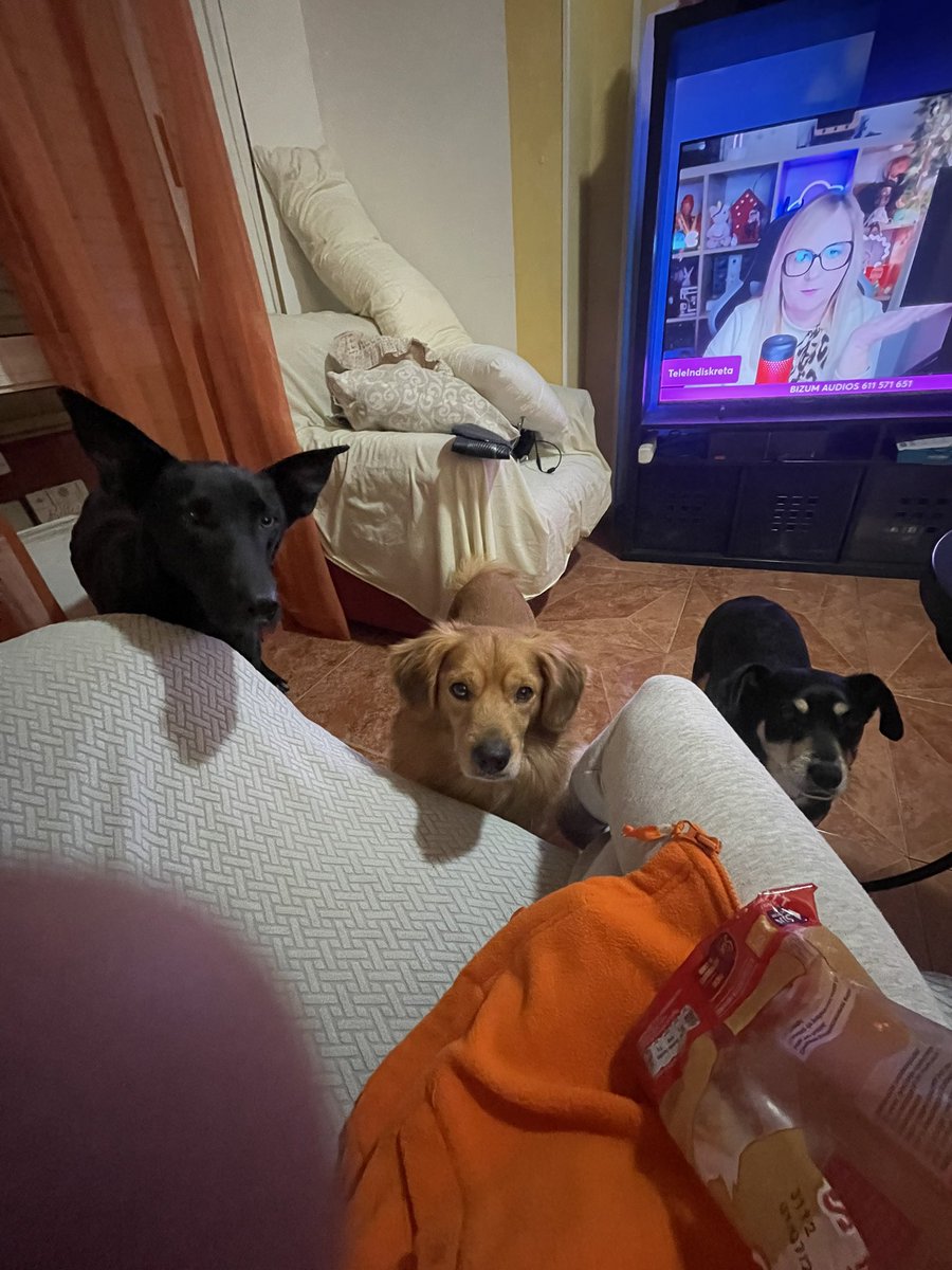 En esta casa no se puede cenar tranquilos🐶🐶🐶
