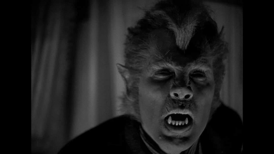 Classic Horror Films tweet media