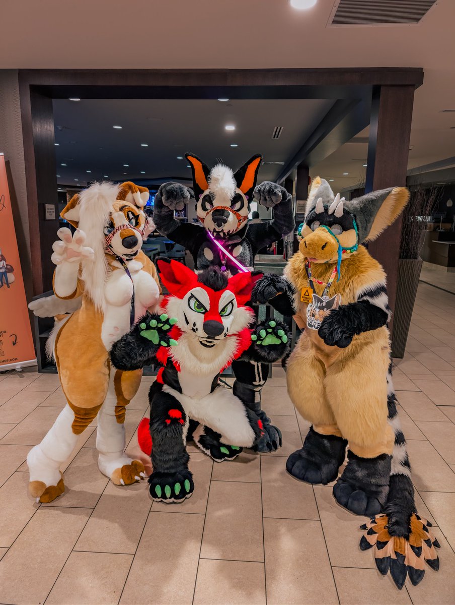 🥞GNAR THE PANCAKE YOTE🥞 tweet media