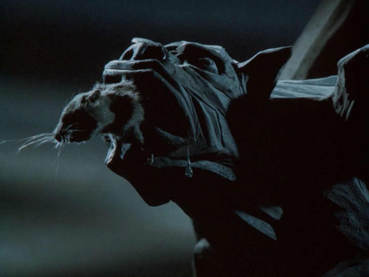 Jacob Calta tweet media