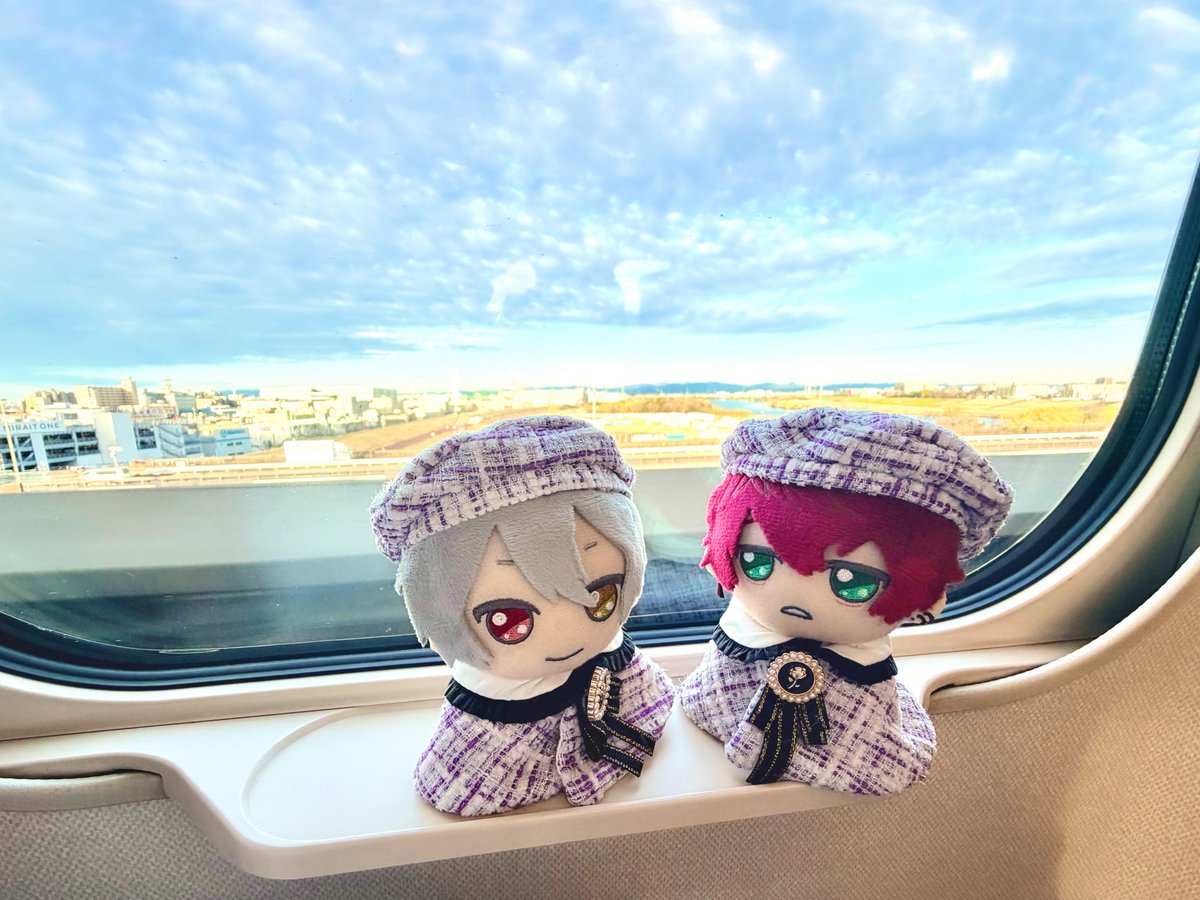 蛍 (けい) tweet media