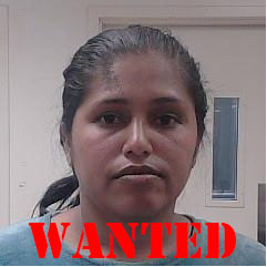 ICE Denver tweet media