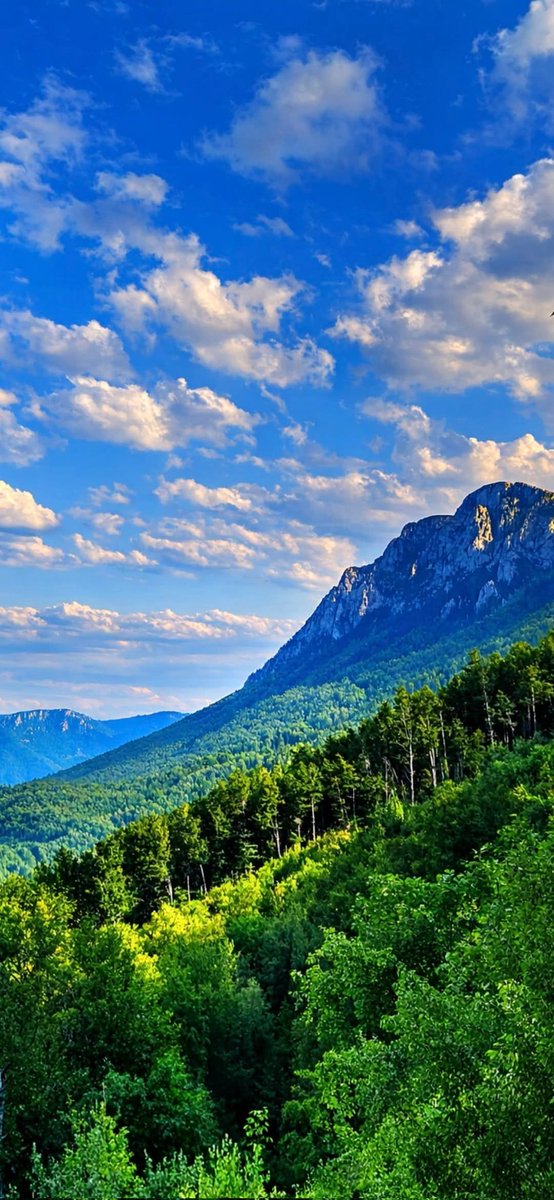 Заштитник безГрађана tweet media